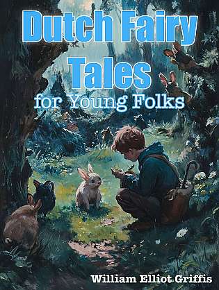 Dutch Fairy Tales for Young Folks cover Thumb