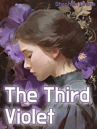 The Third Violet cover Thumb