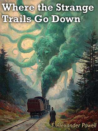 Where the Strange Trails Go Down cover Thumb