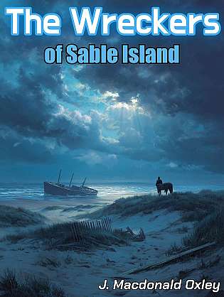 The Wreckers of Sable Island cover Thumb