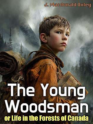 The Young Woodsman Or Life in the Forests of Canada cover Thumb