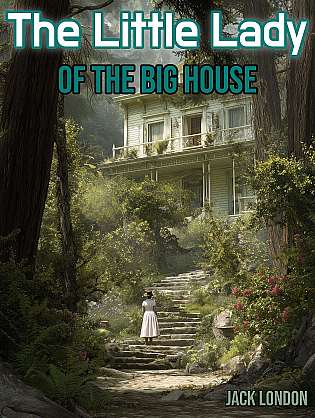 The Little Lady of the Big House cover Thumb