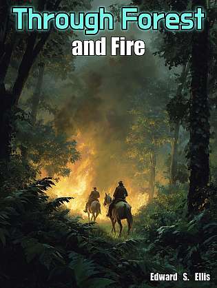 Through Forest and Fire cover Thumb