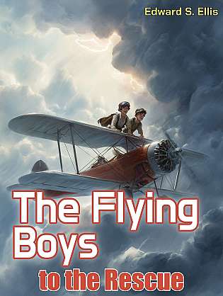 The Flying Boys to the Rescue cover Thumb