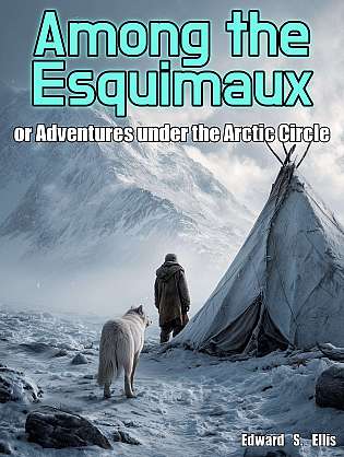 Among the Esquimaux or, Adventures under the Arctic Circle cover Thumb