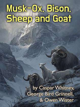 Musk-Ox, Bison, Sheep and Goat cover Thumb