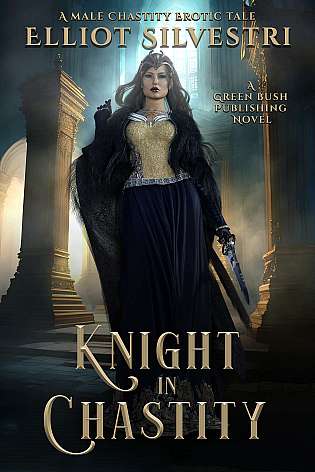 Knight in Chastity cover Thumb