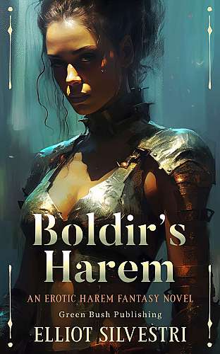Boldir's Harem cover Thumb