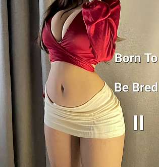 Born To Be Bred Book 2 cover Thumb