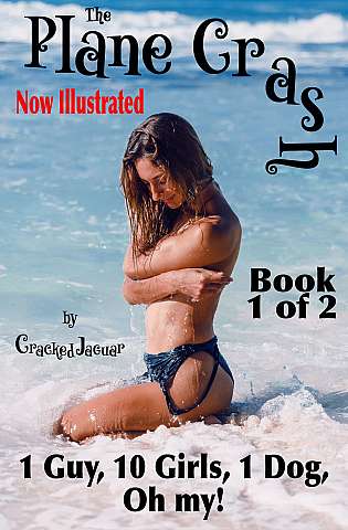 The Plane Crash - Book 1 - Illustrated cover Thumb