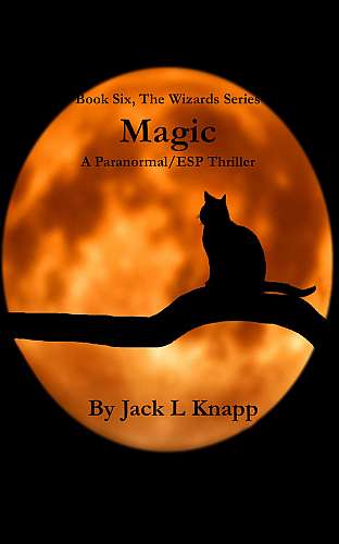 Magic: Book 6, The Wizards Series cover Thumb