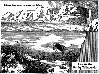 Life in the Early Palæozoic Note its general resemblance, except for size, to the microscopic summer ditch-water life of to-day.