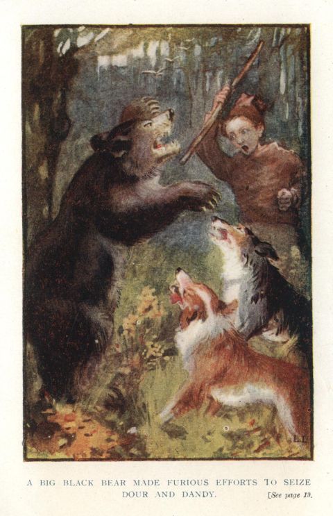 A BIG BLACK BEAR MADE FURIOUS EFFORTS TO SEIZE DOUR AND DANDY. <I>See page 19</I>.